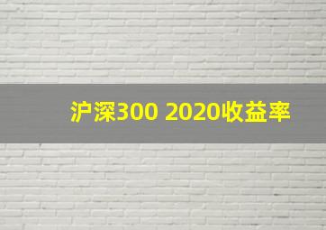 沪深300 2020收益率